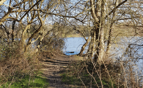 Balade Biodiversité